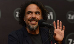 Fórmula Iñárritu