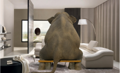 "El elefante en la habitación"