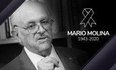 Mario Molina defendió hasta su muerte las energías verdes   El científico fue pionero en estudios de química atmosférica