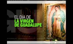 Para Celebrar a Santa María de Guadalupe en Domingo
