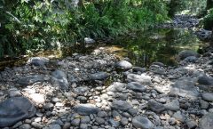Veracruz podría enfrentar una crisis de agua como la de Nuevo León, señalan investigadores