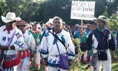 La comunidad wixárika exigen la restitución de más de 11 mil hectáreas de tierras ocupadas por ganaderos de la región