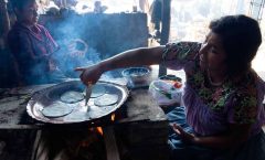 La riqueza culinaria, alimentaria y biocultural de Xochimilco y Milpa Alta está al borde de la extinción