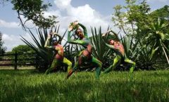 ¿Danza impone estereotipos físicos? El arte es para todos, dice compañía Yoko