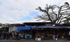 La remodelación del mercado "La Rotonda" tuvo que haberse realizado el año pasado en Xalapa