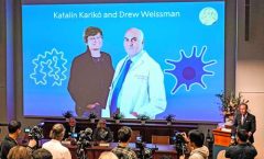 La bioquímica Katalin Karikó y  Drew Weissman, Premio Nobel de Medicina. abrieron la vía para vacunas contra el covid