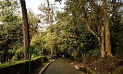 Xalapa y la historia del Parque ecológico del Macuiltépetl
